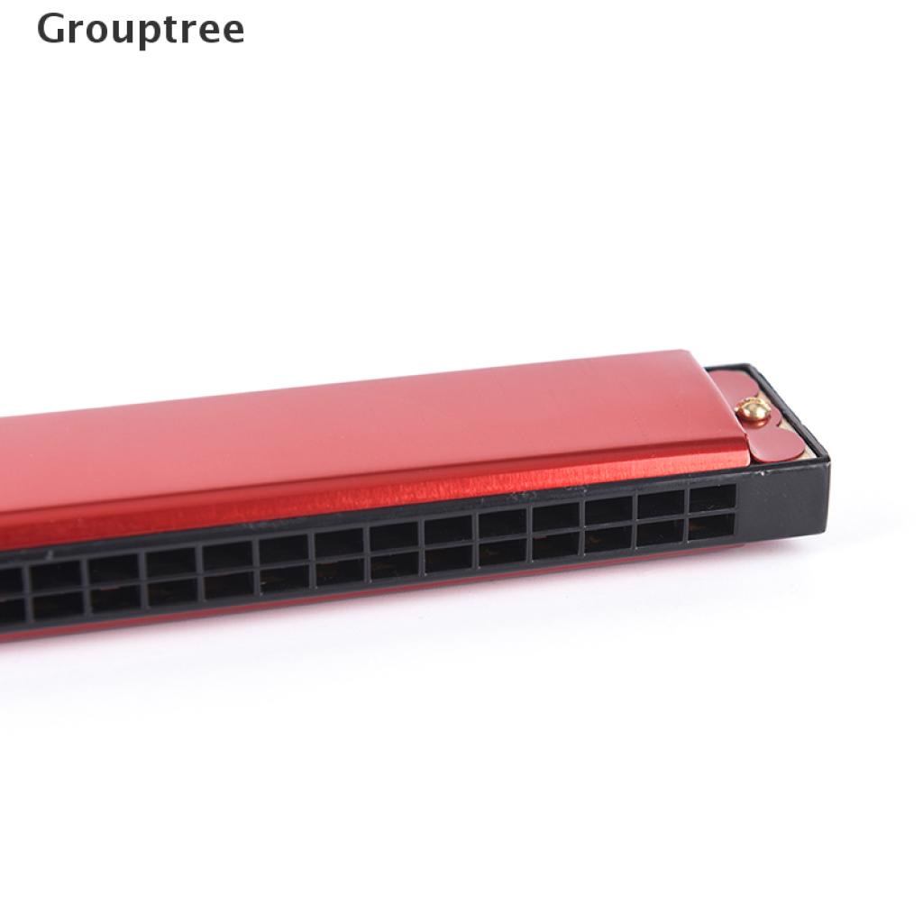 Kèn Harmonica 24 Lỗ Bằng Bạc / Đỏ Dành Cho Người Mới Bắt Đầu