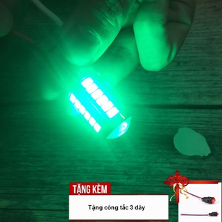 Đèn hậu lái chớp F1