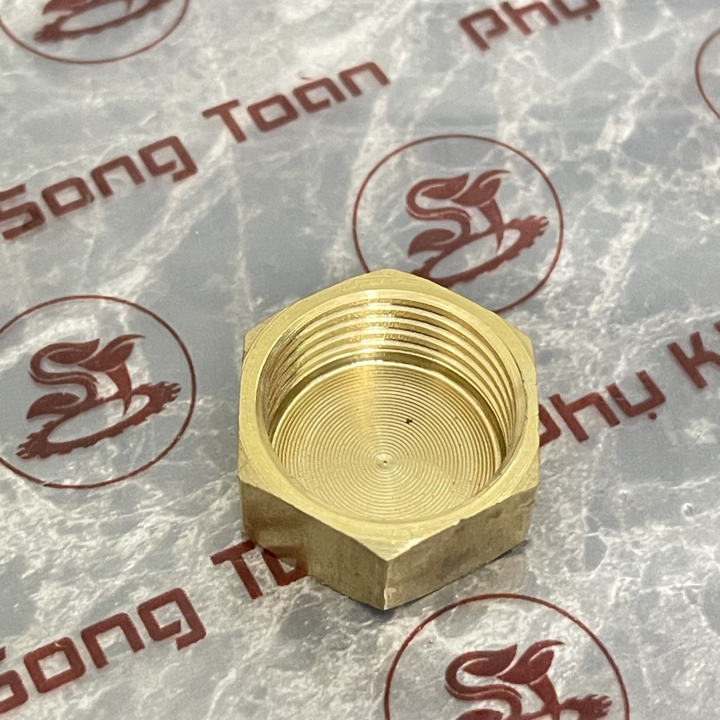 Đầu Bịt & Bít Ren Trong - Bằng Đồng Thau Bước Ren 9.6 13 17 21 27 Thông Dụng Các Thiết Bị Tại Việt Nam Endcap Fitting