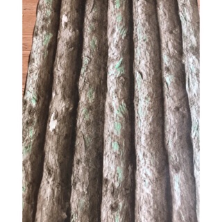 Giấy dán tường giả gỗ 10mx45cm