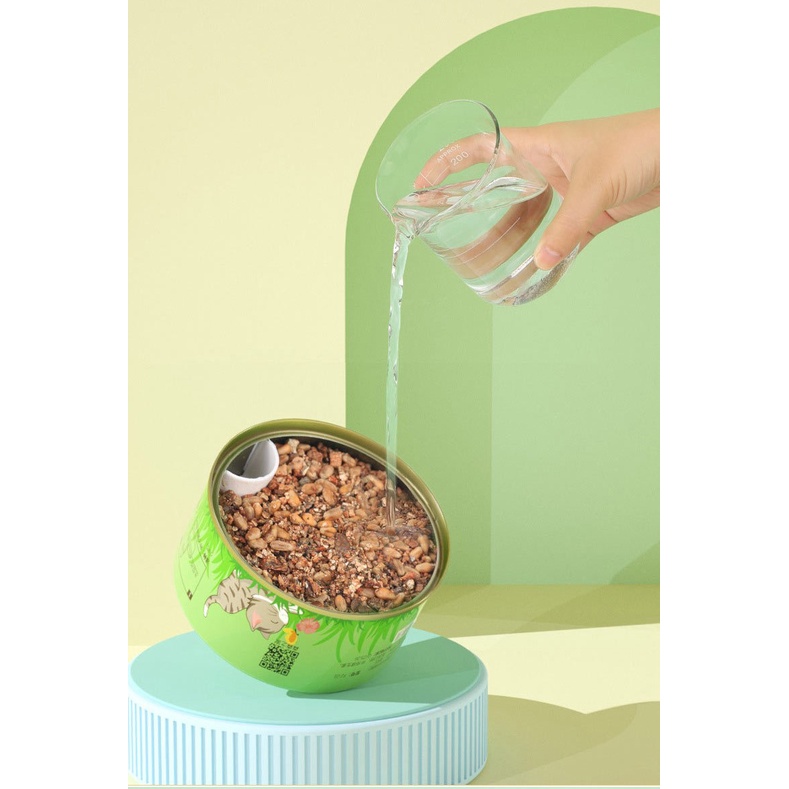 [HÀ NỘI] Set Cỏ Mèo Tươi Tự Trồng Tiện Lợi - Catnip Nhà Trồng