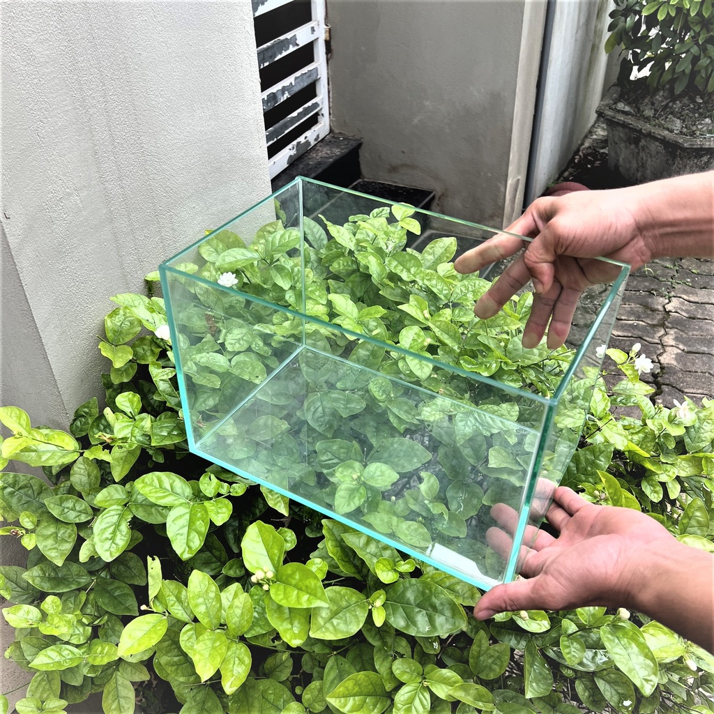Hồ Cá mini để bàn  hồ cá thủy sinh , bể cá mini để bàn kính 5 ly