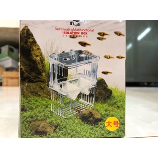 Box cho cá đẻ