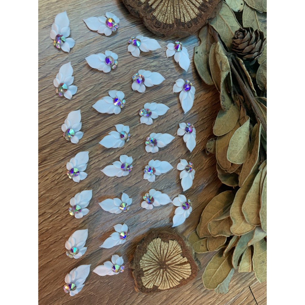 1b hoa bột nail, góc tay