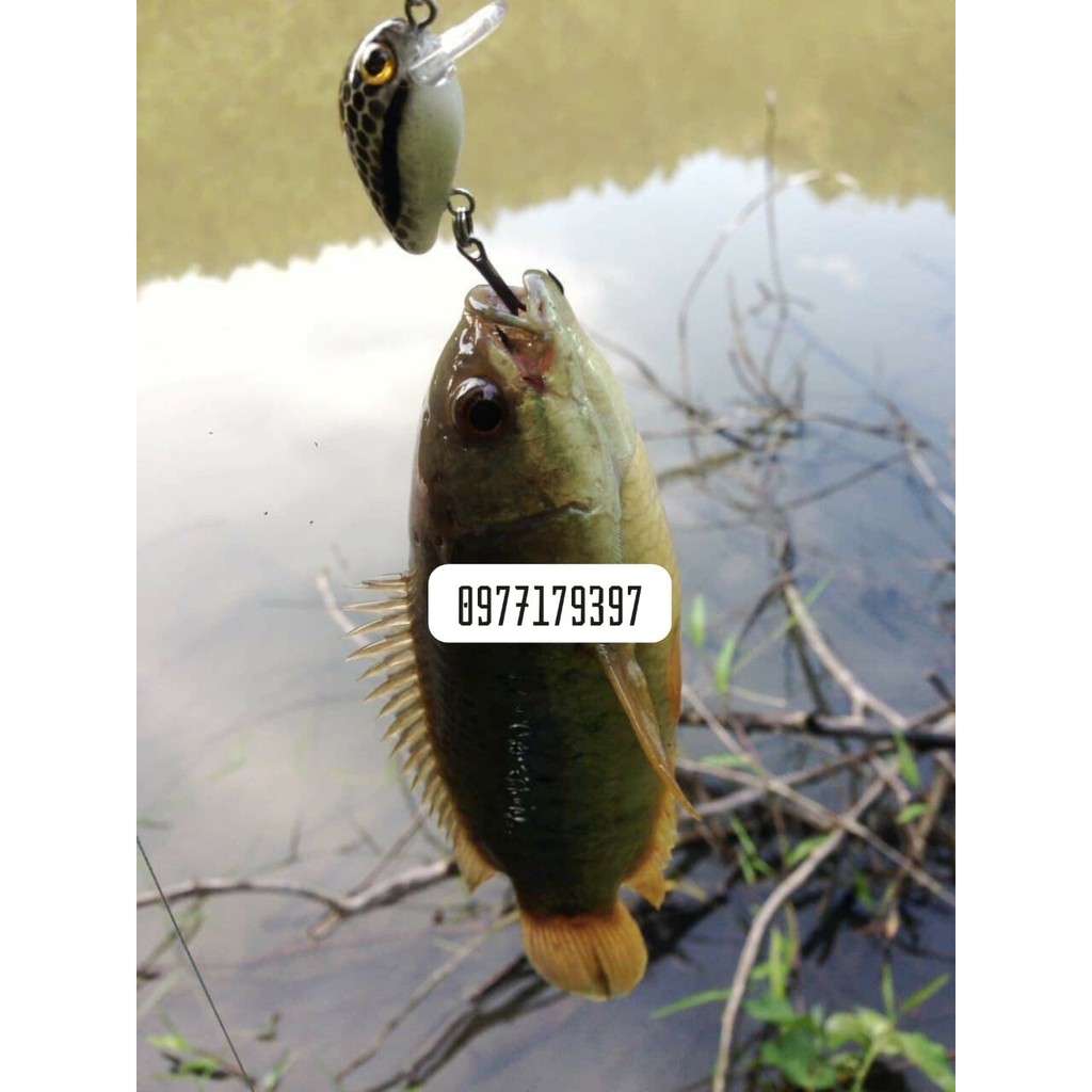 Bộ Cần Câu Lure UL Ngọn Đặc Siêu Dẻo Chuyên Đồ Câu LureGiá Siêu Mềm Tặng Kèm Phụ Kiện Chất Lượng