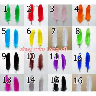 lông gà trắng giá sỉ [ 25k / bịch / hơn 100c lông ] có trên 15 màu