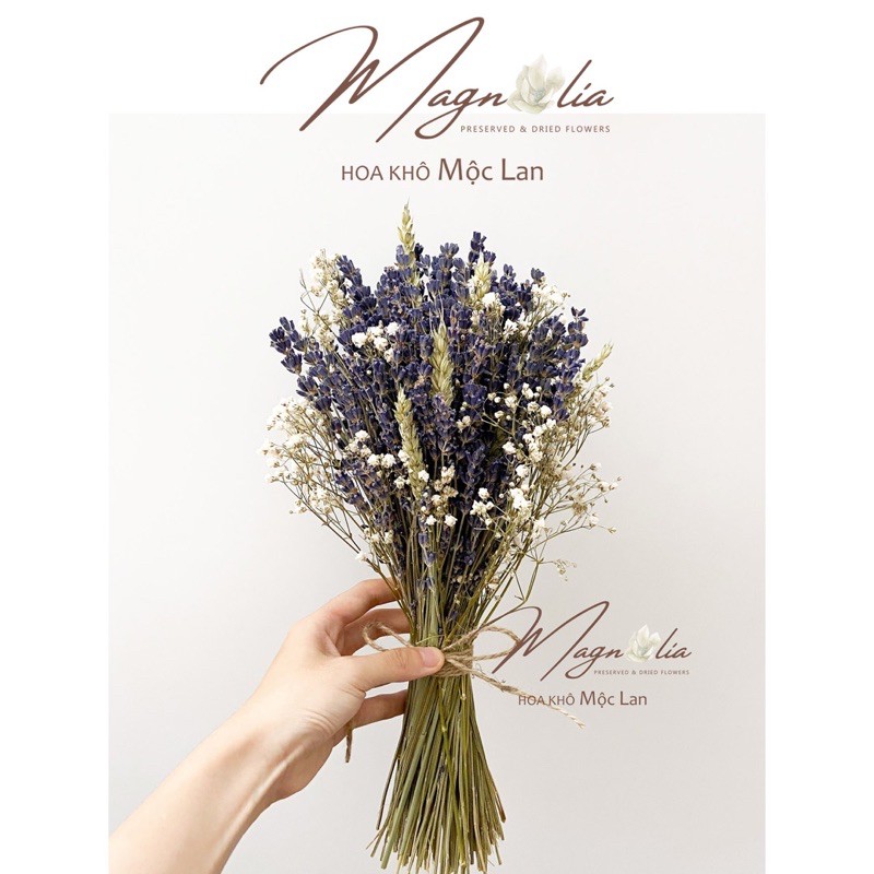 Bó hoa Lavender cầm tay cô dâu mix lúa mạch hà lan và hoa khô baby trắng  ❤️Hoa Khô Mộc Lan❤️