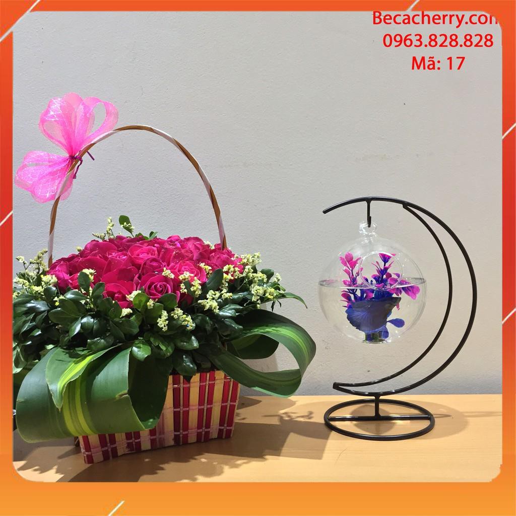 Bể cá mini cung trăng 17 ( tặng kèm phụ kiện trang trí ) | BigBuy360 - bigbuy360.vn