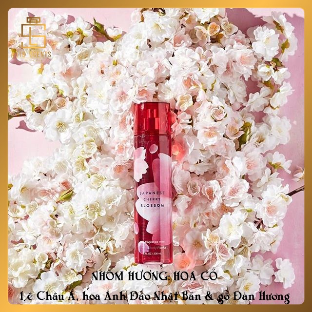 [🌸 BST HOA CỎ 🌸 – ĐỦ MÙI] Xịt Thơm Nước Hoa Toàn Thân Hương Hoa Cỏ Bath & Body Works Fine Fragrance Mist (236 ML) ® | BigBuy360 - bigbuy360.vn