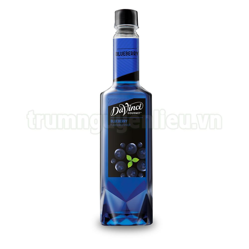 DVG Classic Blueberry Syrup 750ml / siro  vị Việt quất chai 750ml