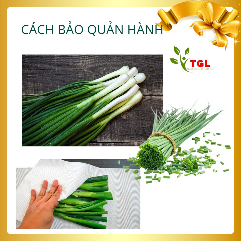 Hạt Giống Hành Hương Kinh Bắc PD 119 Phú Điền, Hạt giống rau củ quả chất lượng - Gói 2gr
