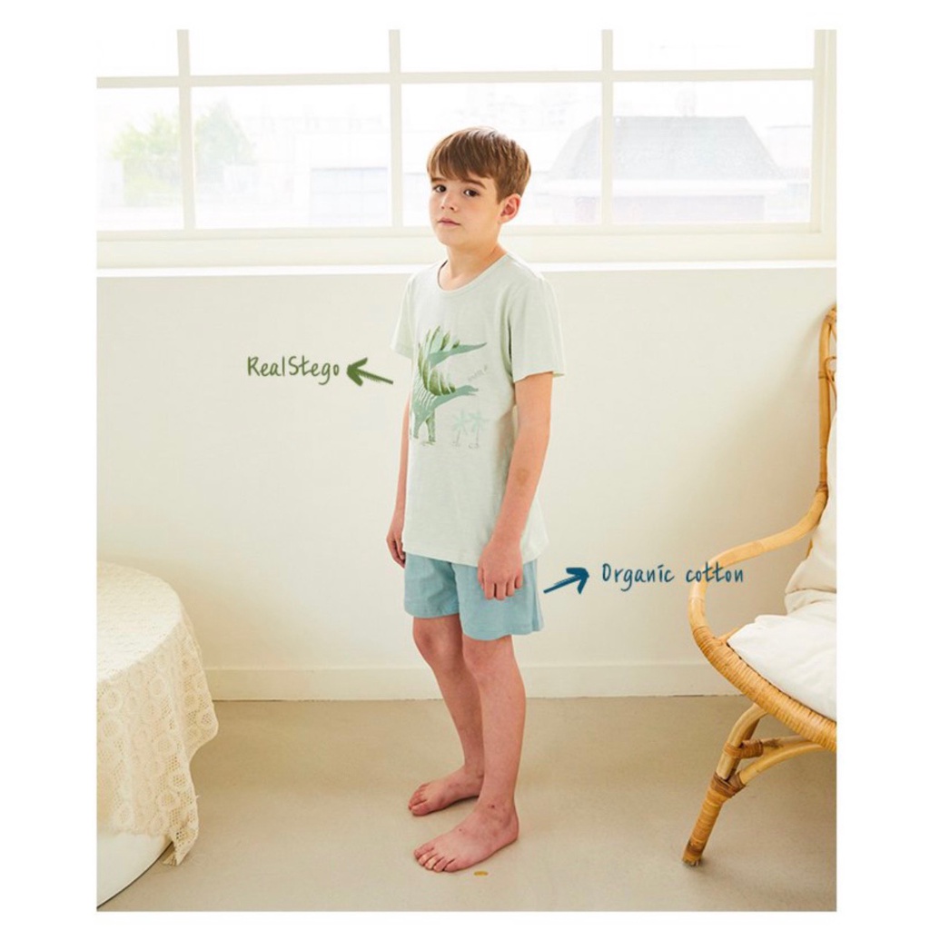 Bộ hè cotton tre organic xuất Hàn cho bé (link1)