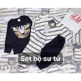 Set bộ sư tử