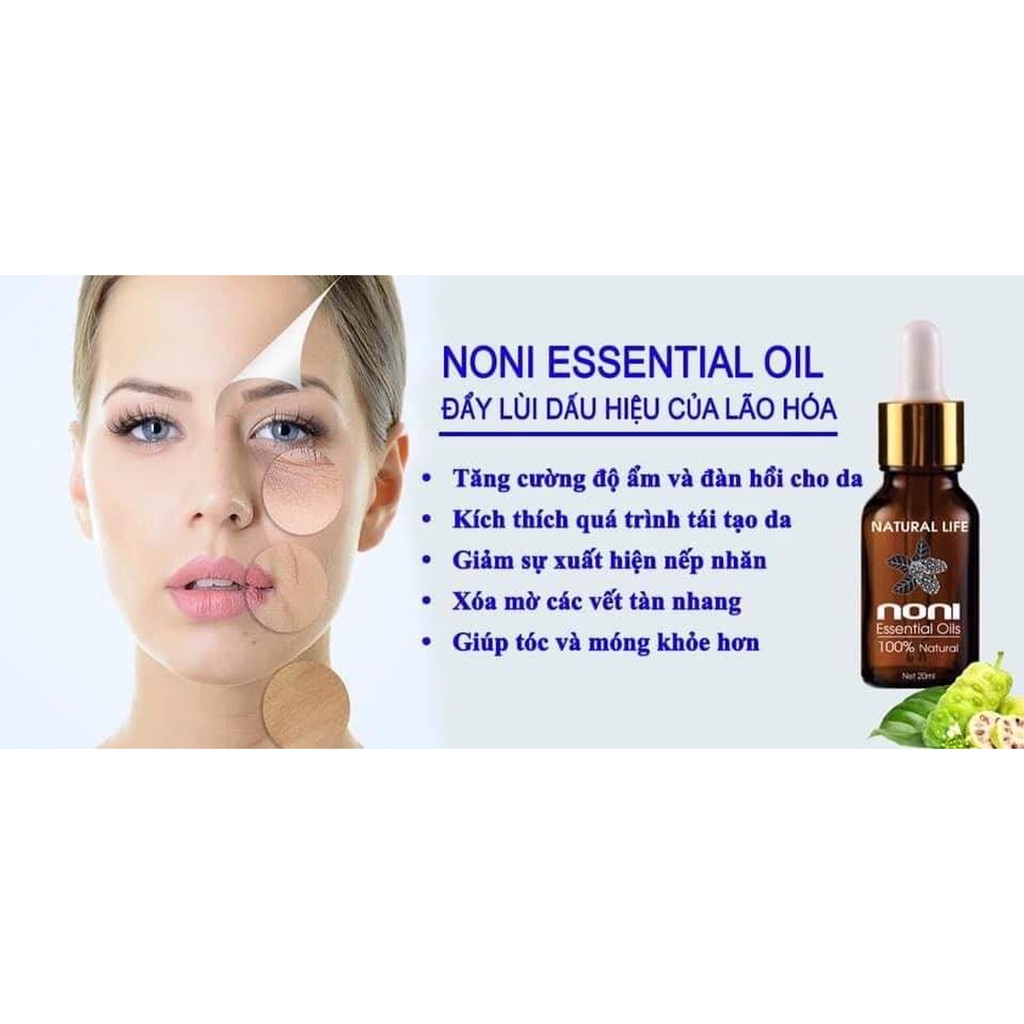 TINH DẦU TRÁI NHÀU - NONI OIL | BigBuy360 - bigbuy360.vn