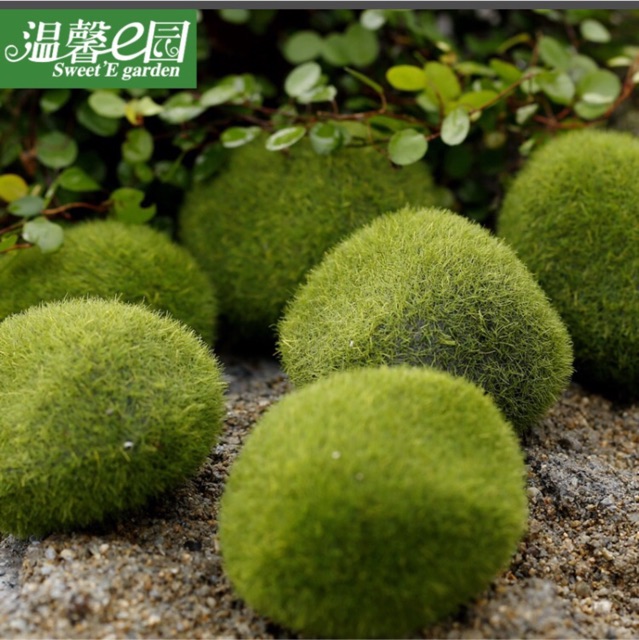 Viên Rêu xanh ~6cm trang trí tiểu cảnh sen đá