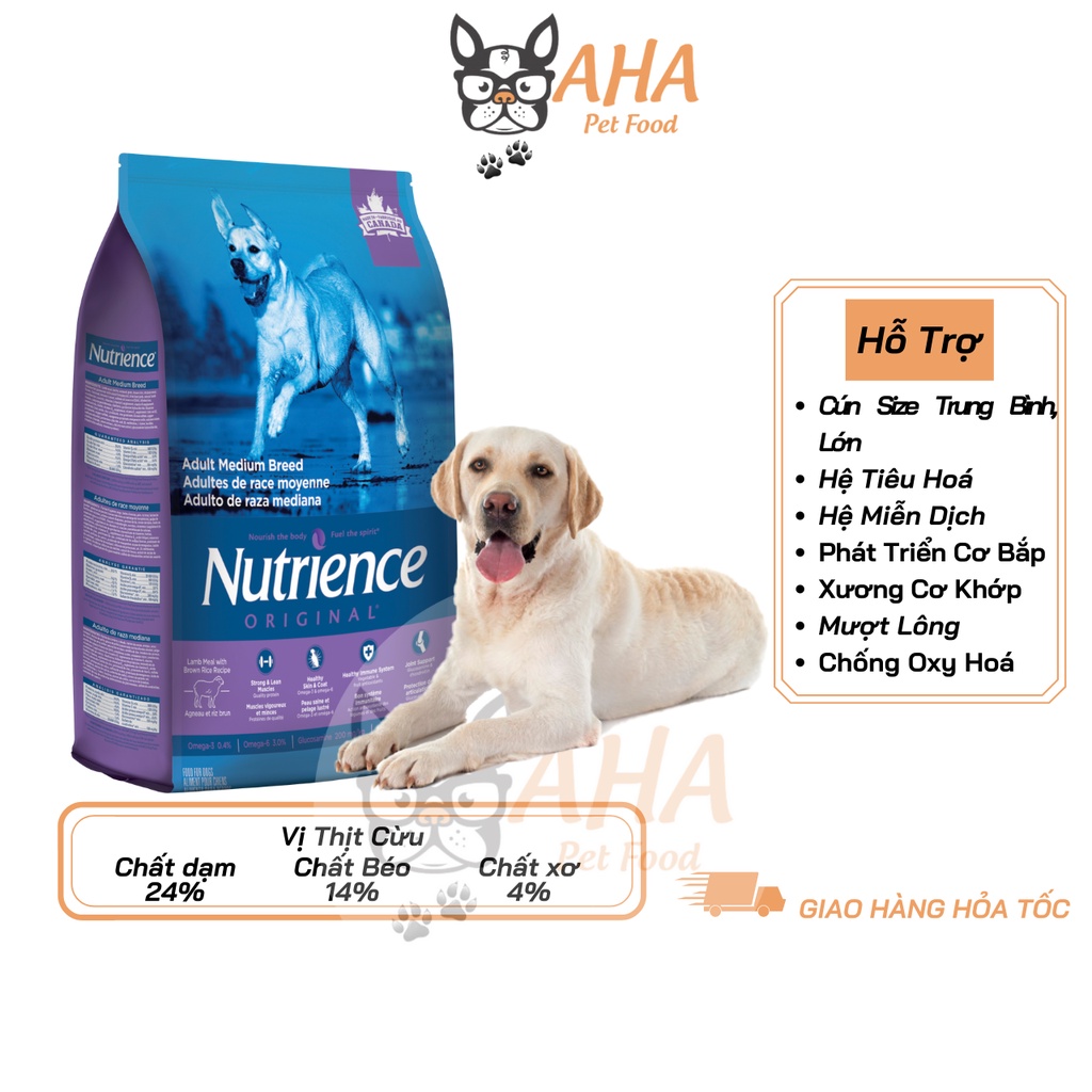 Thức Ăn Cho Chó Labrador, Nutrience Infusion Bao 5kg - Thức Ăn Cho Chó, Vị Thịt Cừu, Rau Củ, Trái Cây