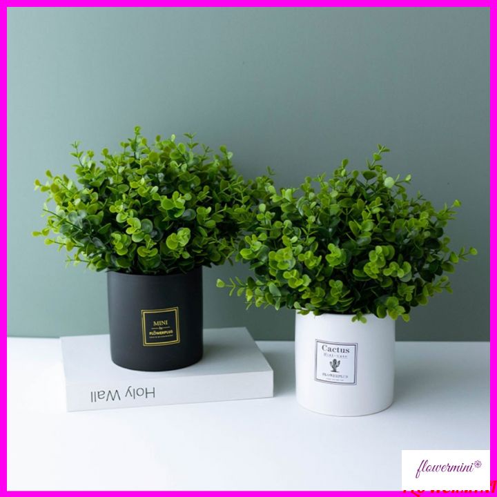 Cây giả, chậu cây kim tiền 20cm lá nhỏ xanh tự nhiên trang trí bàn học, kệ tủ, giá sách, decor nội thất Flowermini