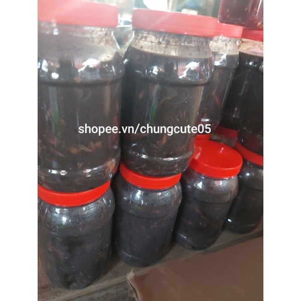 500g Mắm mực Quảng Ngãi miền Trung