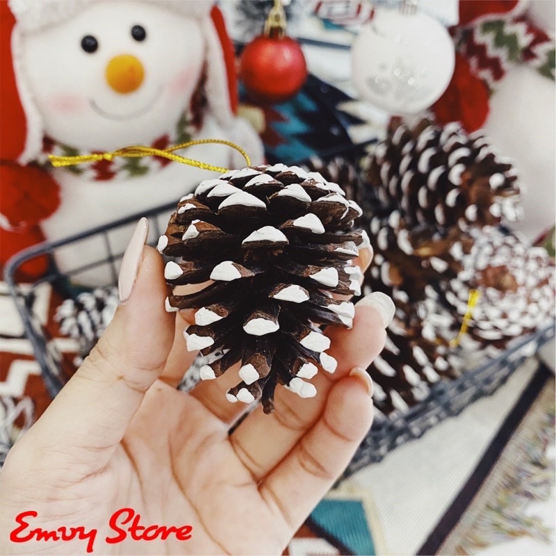 TRÁI THÔNG KHÔ PHỦ TUYẾT/ TRÁI THÔNG TRANG TRÍ