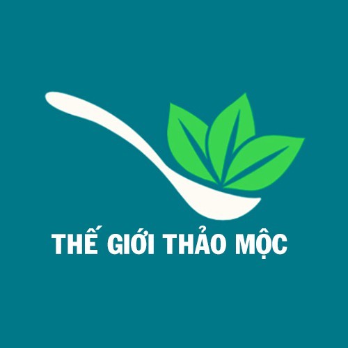 thegioithaomoc.shop