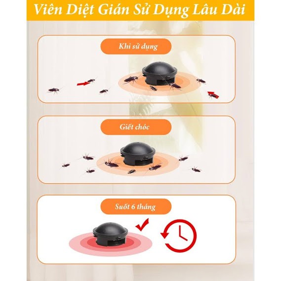 Hộp diệt gián của Nhật chính hãng- Diệt Tận Gốc Gián (Hộp 12 viên)