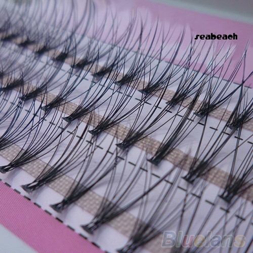 [Hàng mới về] Bộ 60 cụ lông mi giả dùng để nối dài phong cách tự nhiên chất lượng cao