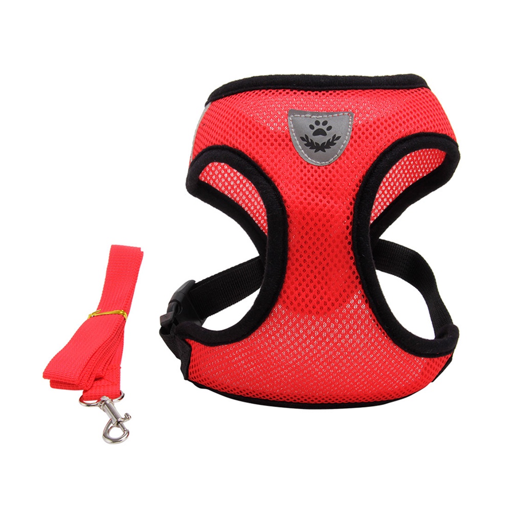Dây Dắt Thú Cưng Đi Dạo Bằng Lưới Thời Trang