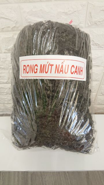 RONG BIỂN KHÔ NHA TRANG LOẠI NGON | BigBuy360 - bigbuy360.vn