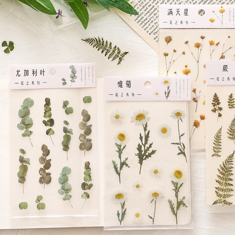 Miếng dán trang trí PET hình bông hoa/ lá cây trang trí xinh xắn