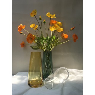 Bình hoa thủy tinh thiết kế đơn giản trang trí nhà cửa PT128 - Bình Cắm Hoa