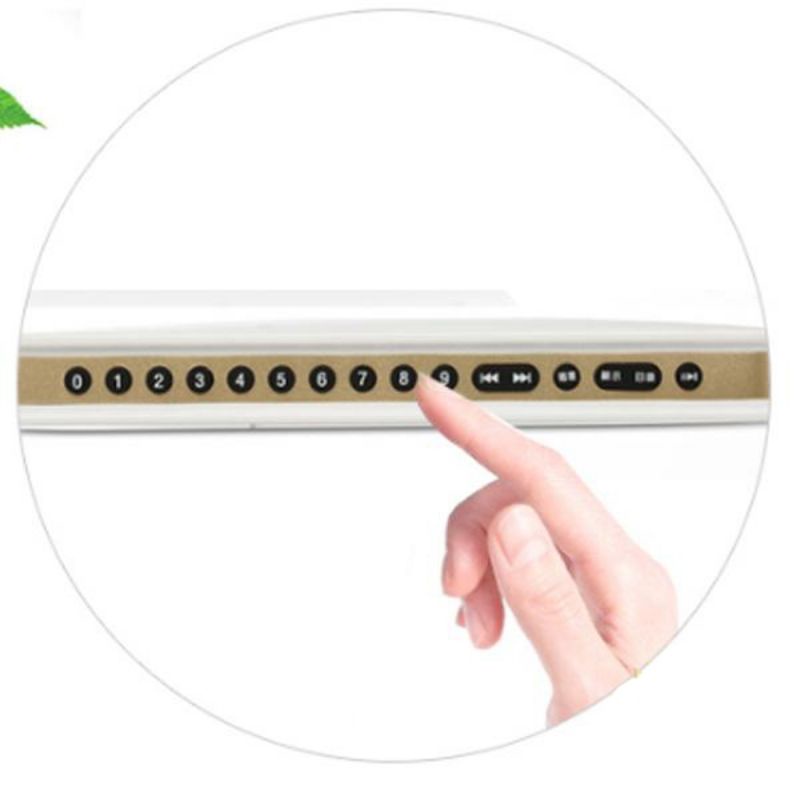 Máy Nghe Pháp, Xem Hình Mp4 – JSV04, Màn Hình 10inch