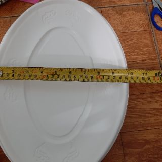 100 đĩa xoài lớn