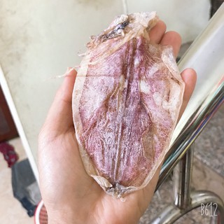 [ Cực Ngon Ngọt ] 0.5Kg Mực Câu Khô Vân Đồn Mini, Y Hình