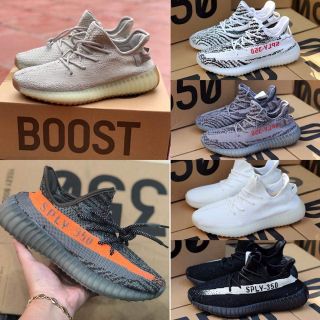 Giày thể thao v2 350 đủ size 37-44
