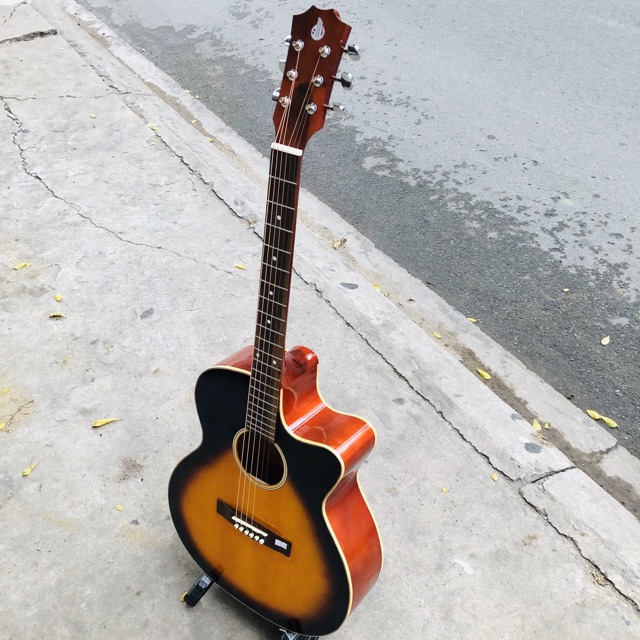 Guitar có ty chỉnh cần + capo đàn gía sinh viên