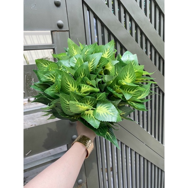 Cây bụi xanh nhỏ trang trí