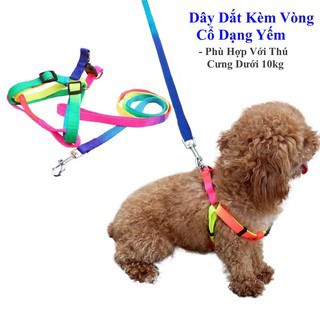 Dây dắt chó bảy màu kèm vòng cổ