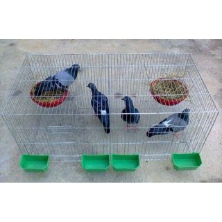 Combo 10 MÁNG ĂN MÁNG UỐNG ĐƠN CHO CHIM
