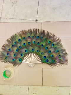 Quạt Lông Công Phong Thuỷ