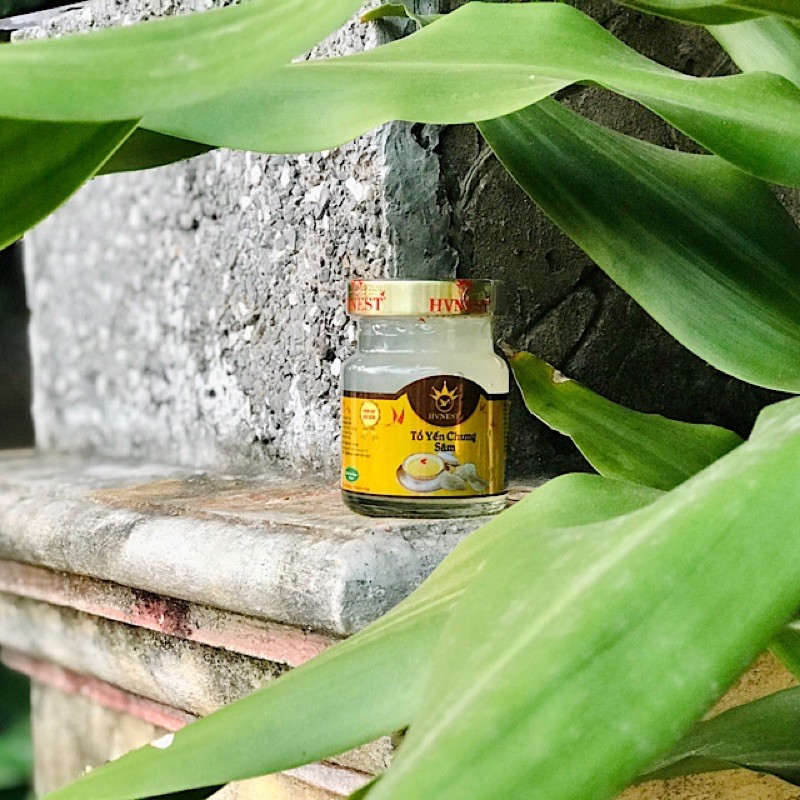 [FREESHIP] [30% Yến Tươi] Tổ Yến Chưng Sẵn Vị Sâm Yến Sào Nha Trang Khánh Hoà Chính Hãng | BigBuy360 - bigbuy360.vn