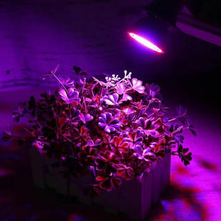 Bóng đèn LED trồng cây E27 12W 72 SMD