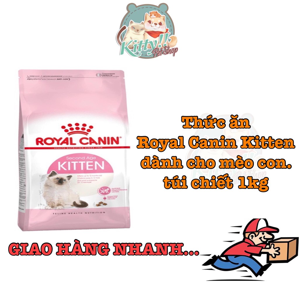 Royal canin kitten 36 chiết 1kg