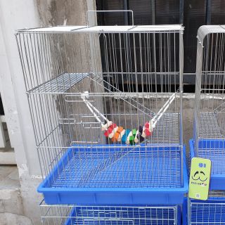 Lồng Pet inox 2 tầng BIG SIZE