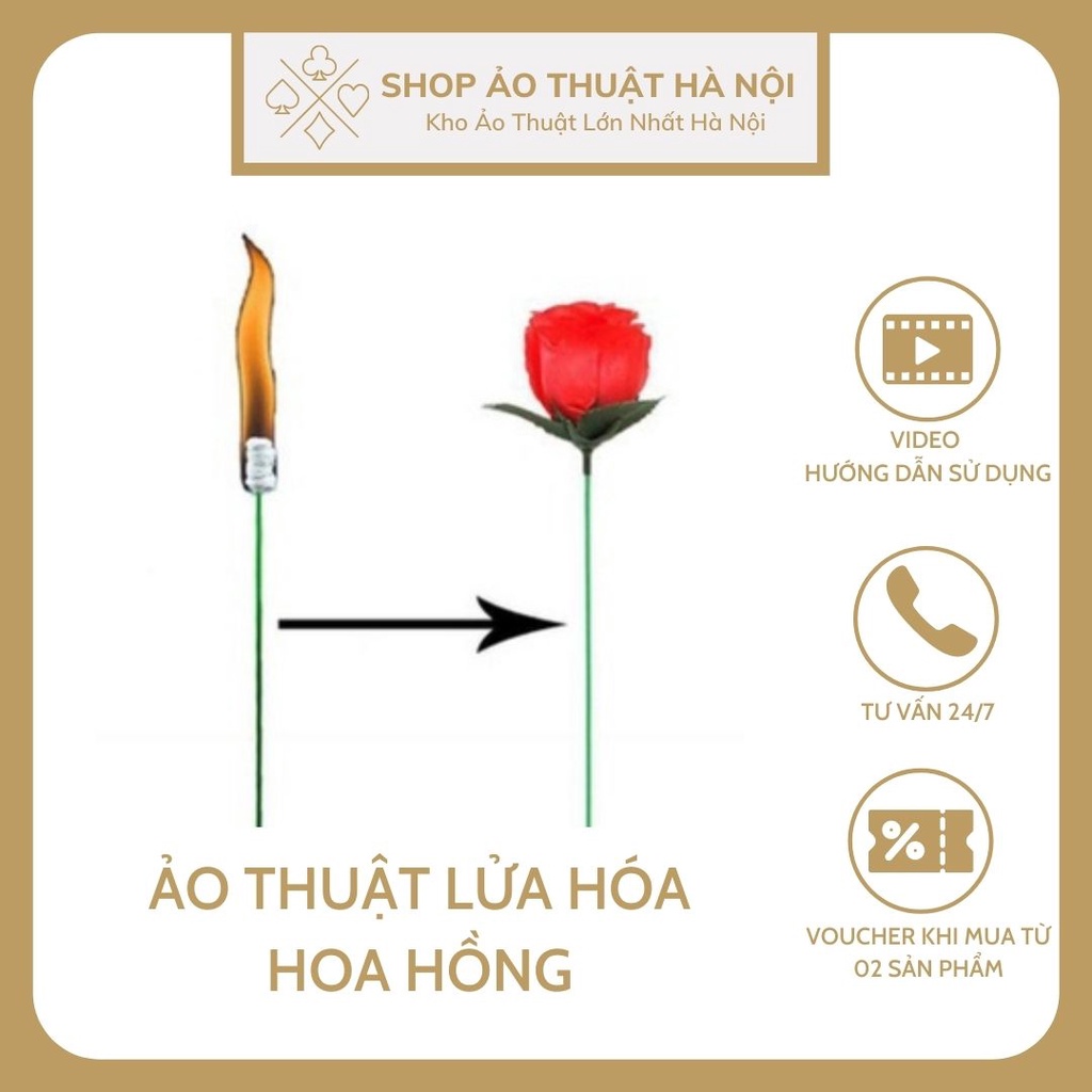 Đồ Chơi Ảo Thuật Lửa Hóa Hoa Hồng Lửa Độc Lạ Giá Rẻ Sáng Tạo Biểu Diễn Sân Khấu Torch To Rose