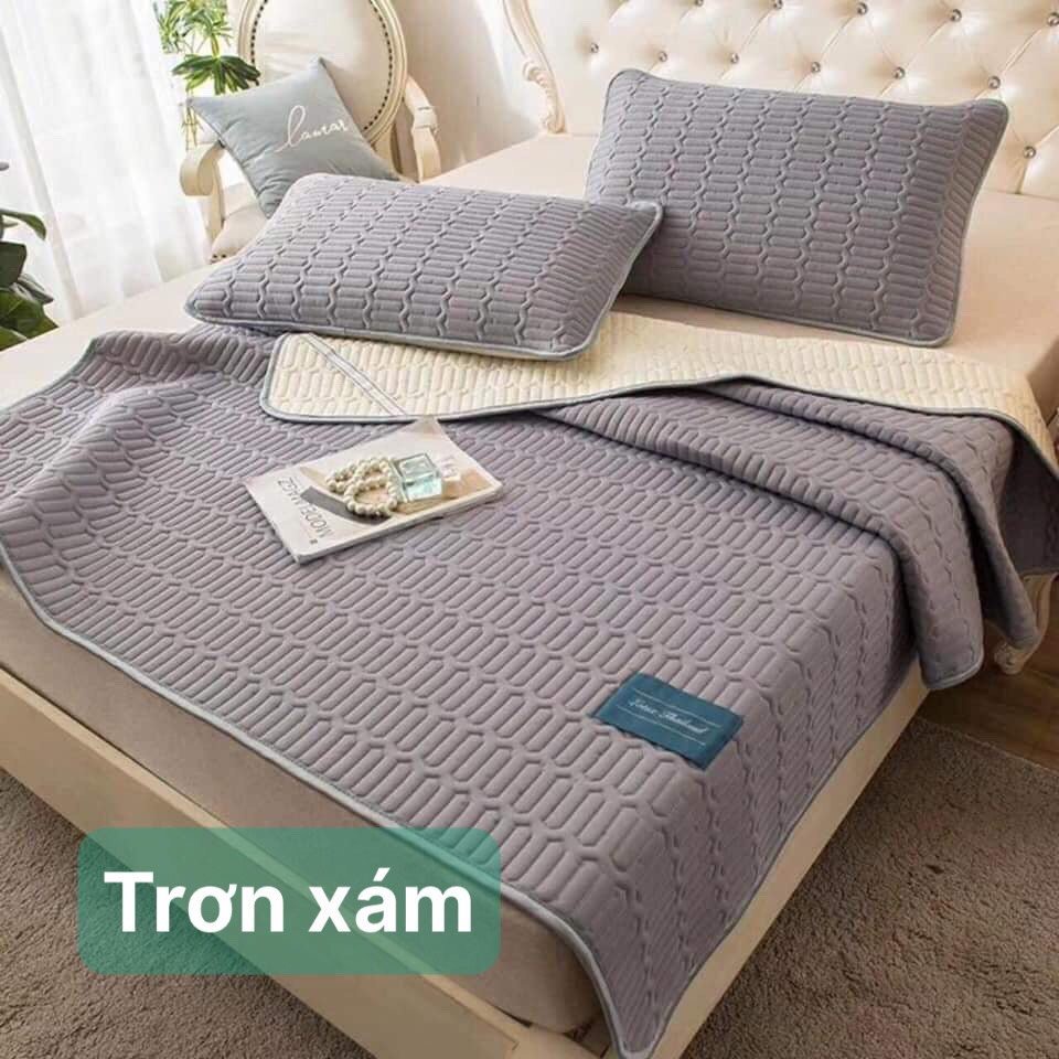 Chiếu điều hòa cao su non 5D Tencel,kích thước m6/m8/2m2, mẫu trơn xám