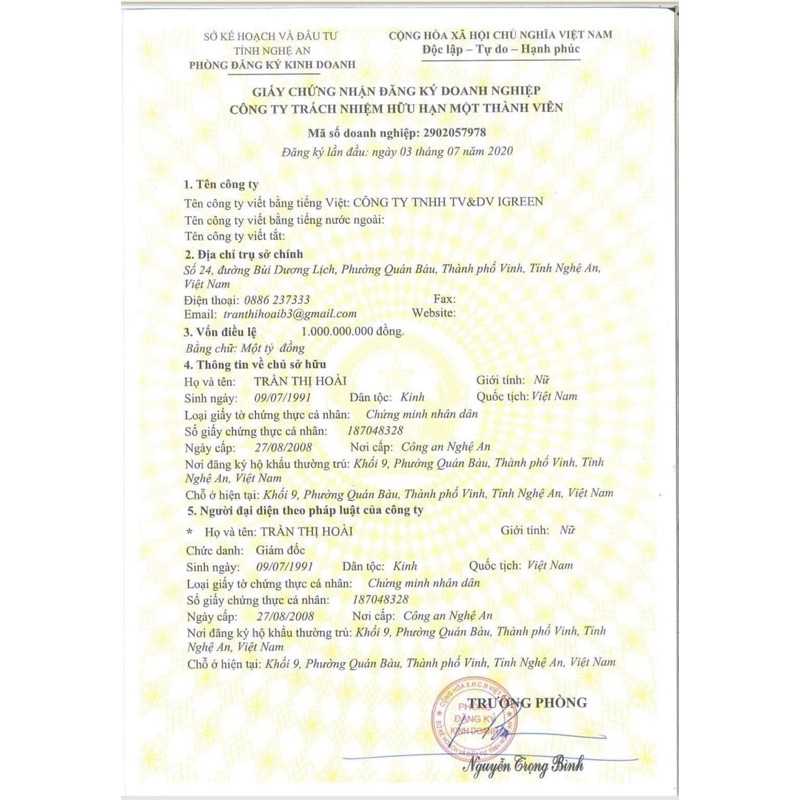 Serum Diếp Cá handmade - giảm mụn, thâm, dưỡng da căng bóng | BigBuy360 - bigbuy360.vn