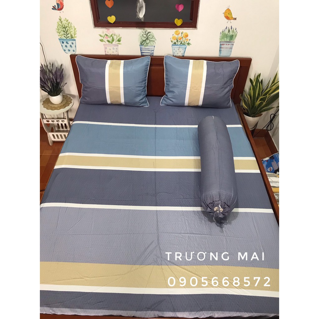 Drap Tencel lụa mát mịn kèm chăn chần gòn