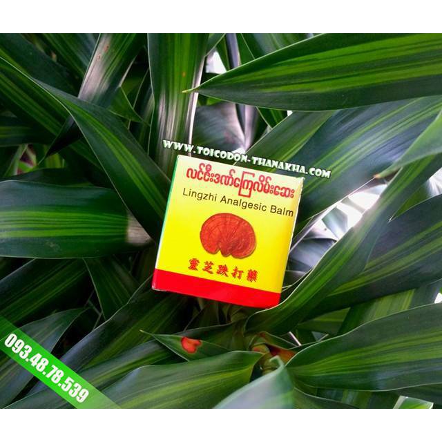 Dầu cù là Linh Chi đỏ Myanmar