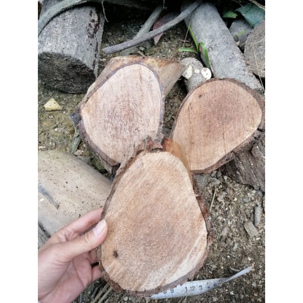1 bảng gỗ ghép các loại lan