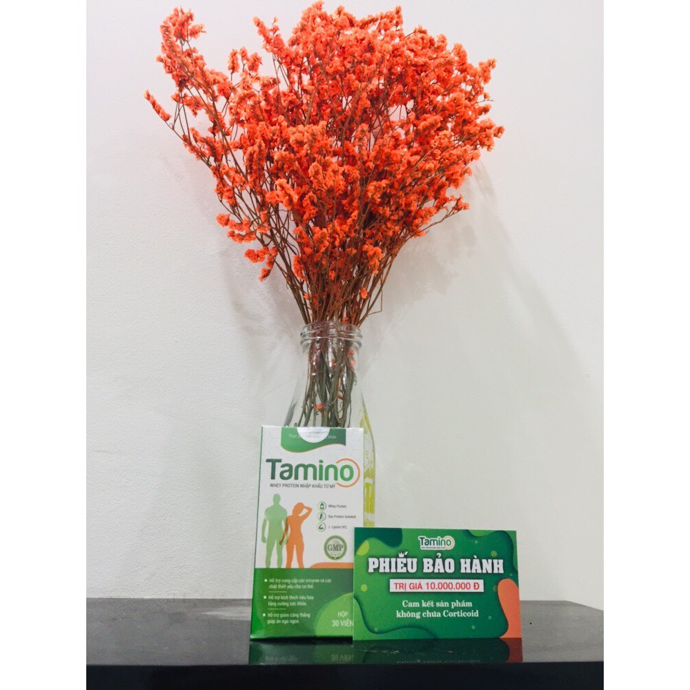 Combo 4 hộp Tăng cân Tamino - Đạm Whey Protein + Soy Protein nhập khẩu Mỹ